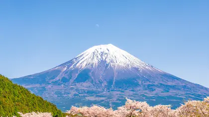 Nature Experience