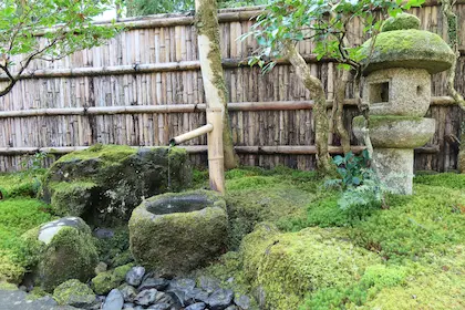 Spiritual and Zen